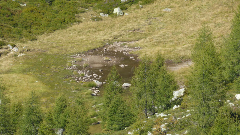 Laghi.......del TRENTINO